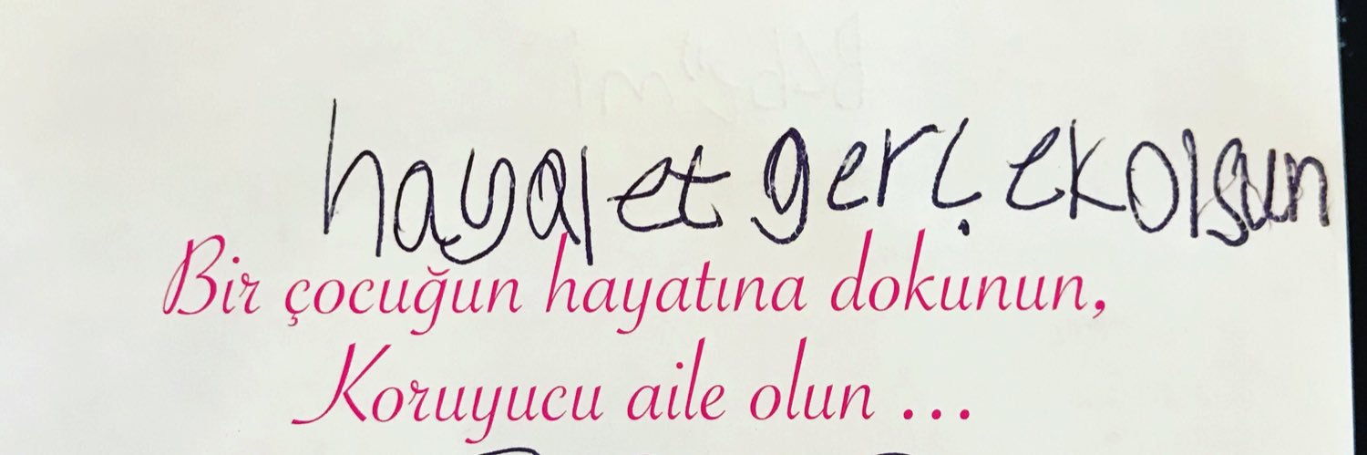 ulkuaydeniz's profile banner image