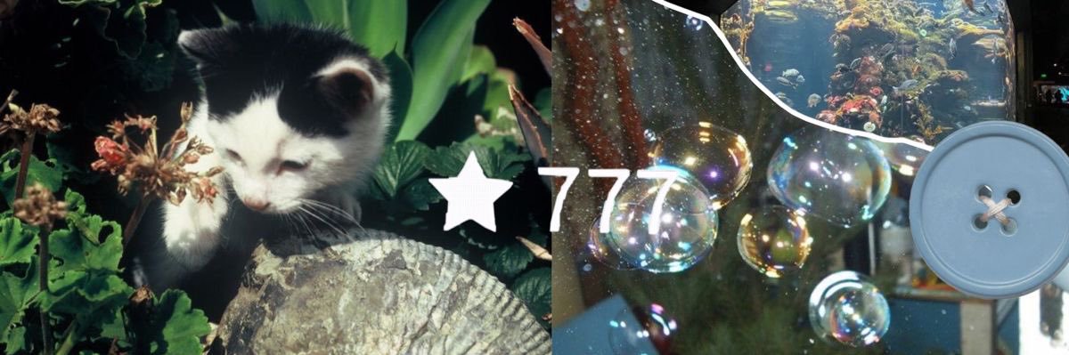 𝑪𝒂𝒎 ꧂ banner