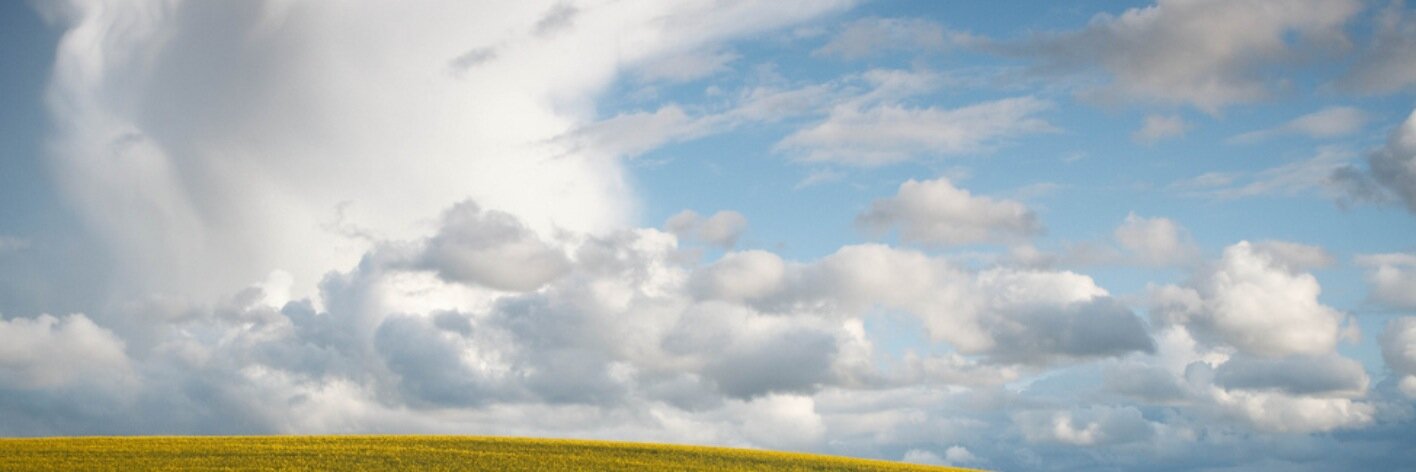 jaktraks's profile banner image