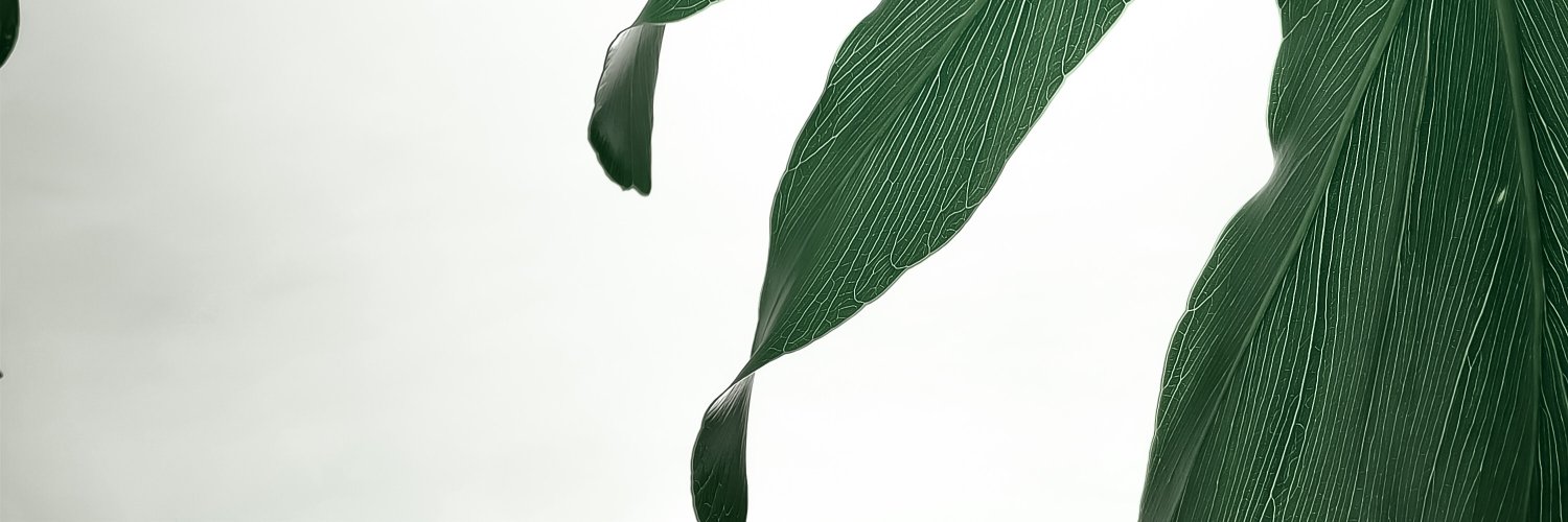 thomas_ehrig's profile banner image
