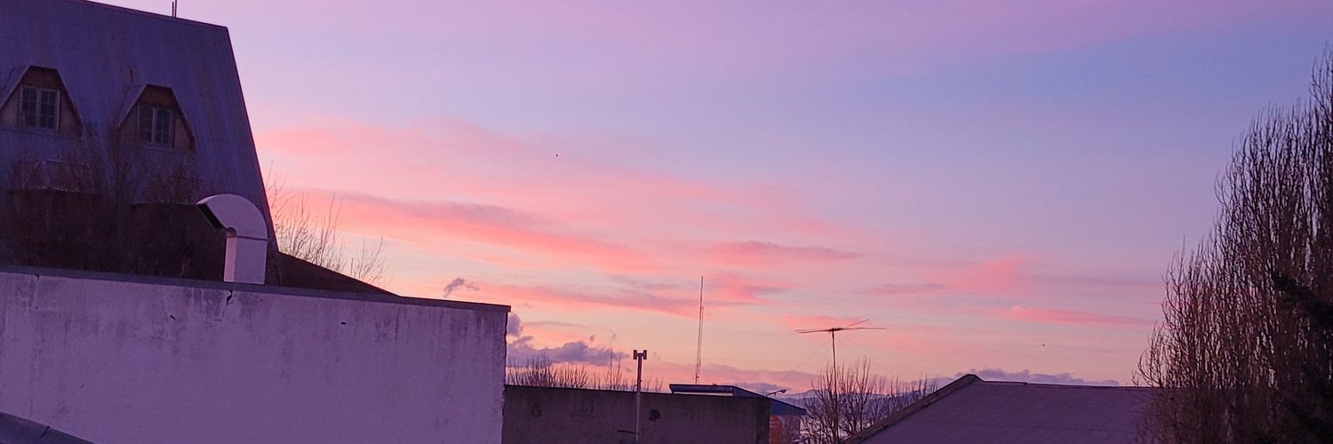 briidegiusti's profile banner image