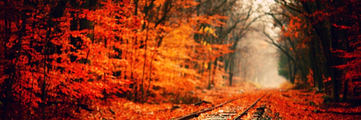 TallFPumpkins's profile banner image