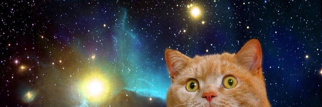 kickkat17's profile banner image