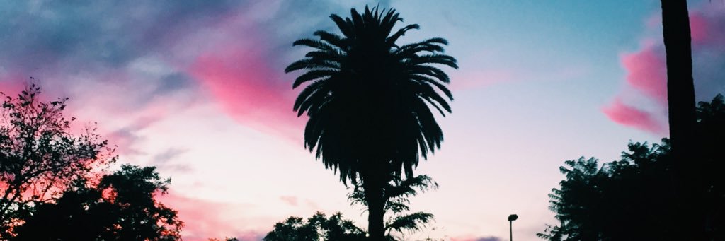adamtyree's profile banner image