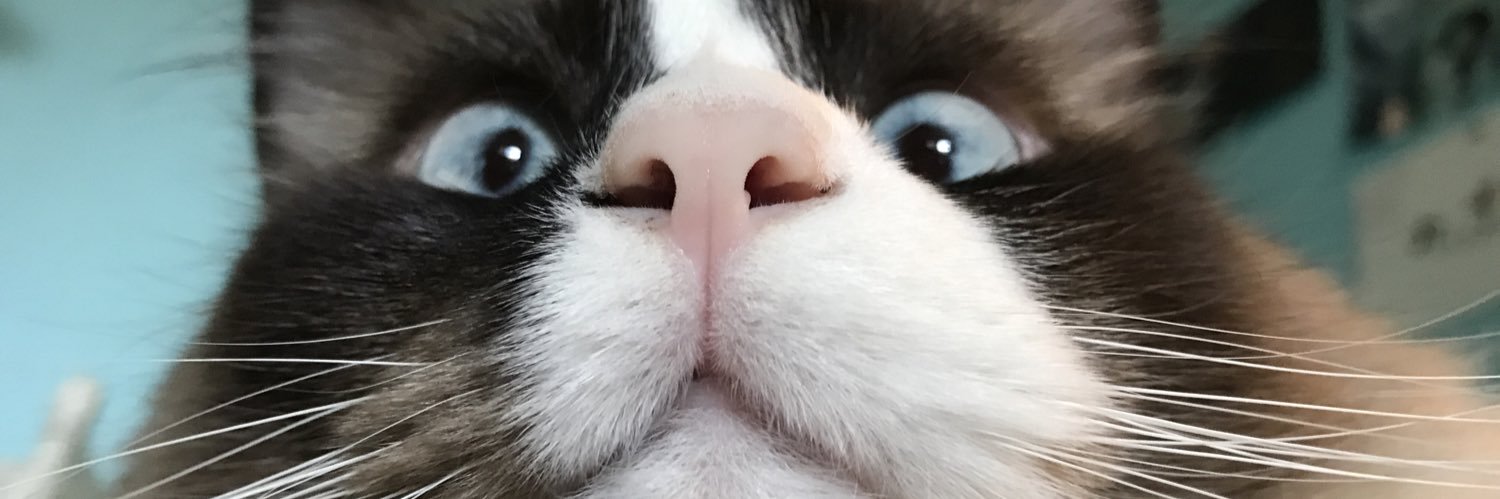 TheoNicole's profile banner image