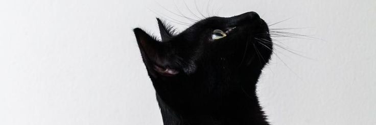 Ethan {Closed} banner