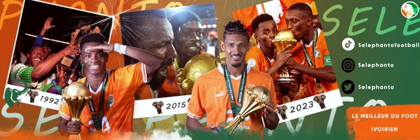 Selephanto Profile Banner