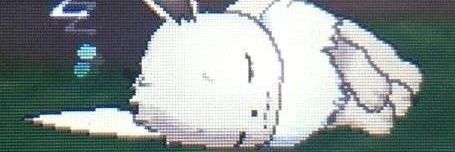 Tenki banner