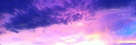 うさぎ banner