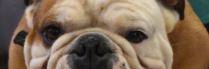 matimantzuranis's profile banner image