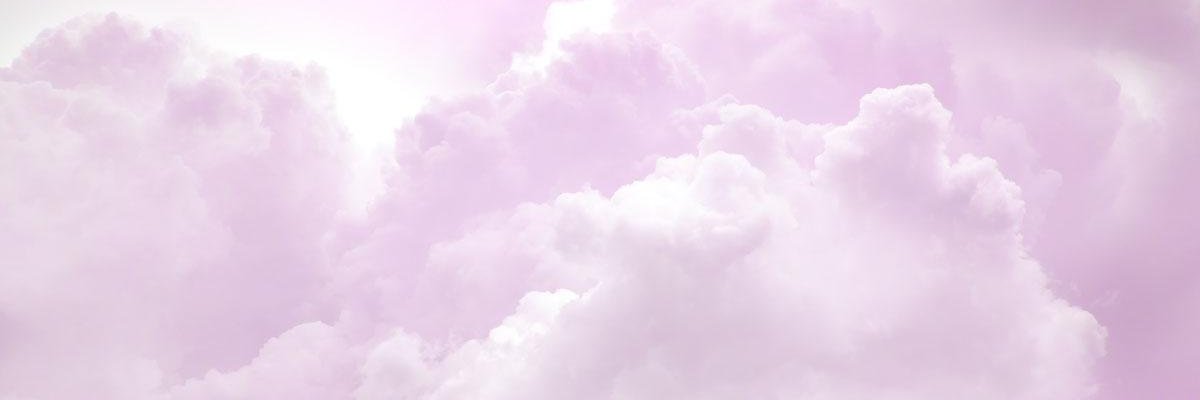 Colleen Siebert banner