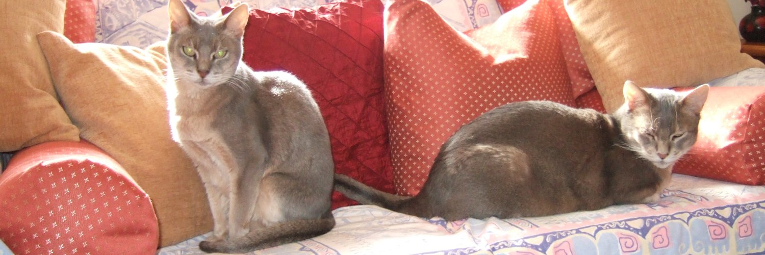 Zeppelin 🌈 and Sapphire 🌈 banner