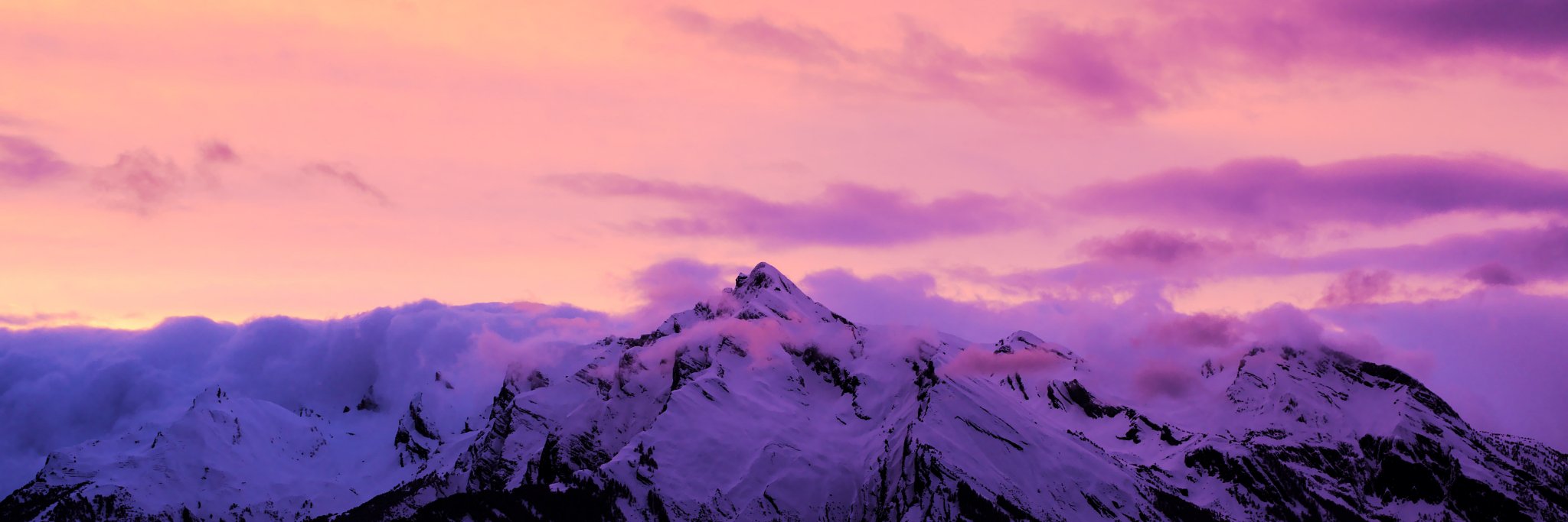 Arek Hiler banner
