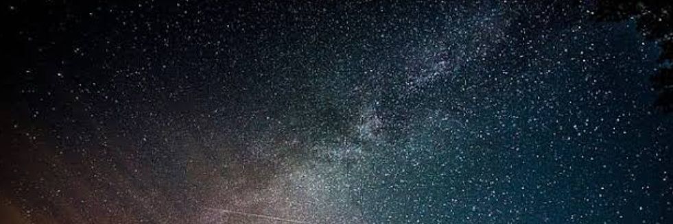 betulonc's profile banner image