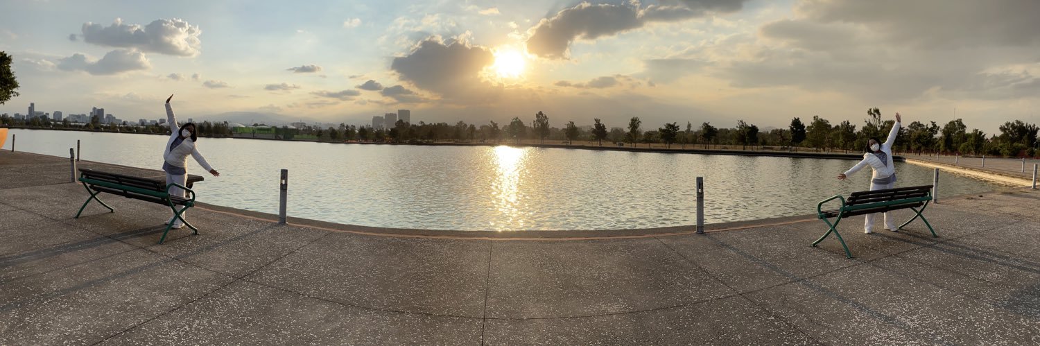 Laura Cardoso Tierra banner