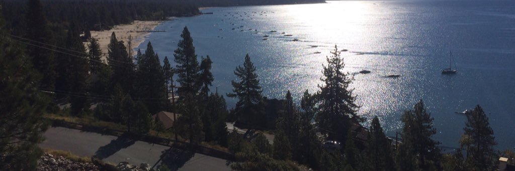 Alexis 🐶🦄 ☀️ banner