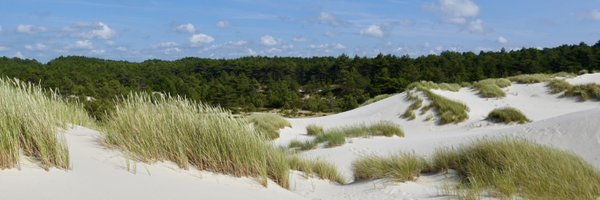 PeterHoogmoed Profile Banner