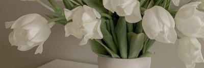 sandra garcia banner