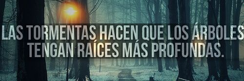 Richard Rojas Collao banner