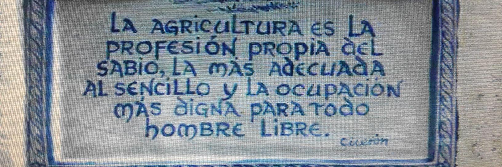 Bernardo Basombrío banner