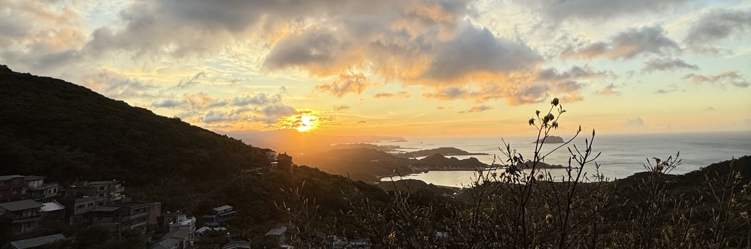 tortuii's profile banner image