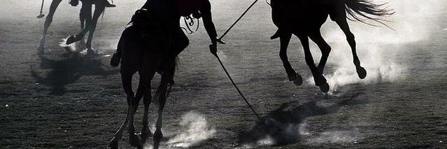 blackhoundpolo's profile banner image