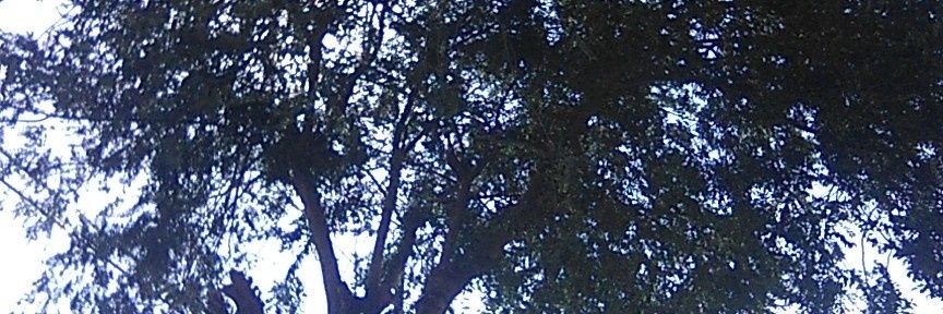 destroyfelix's profile banner image