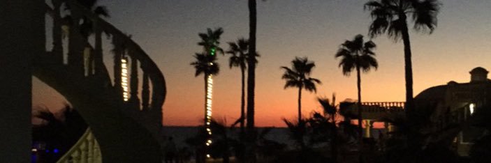Maytea99's profile banner image