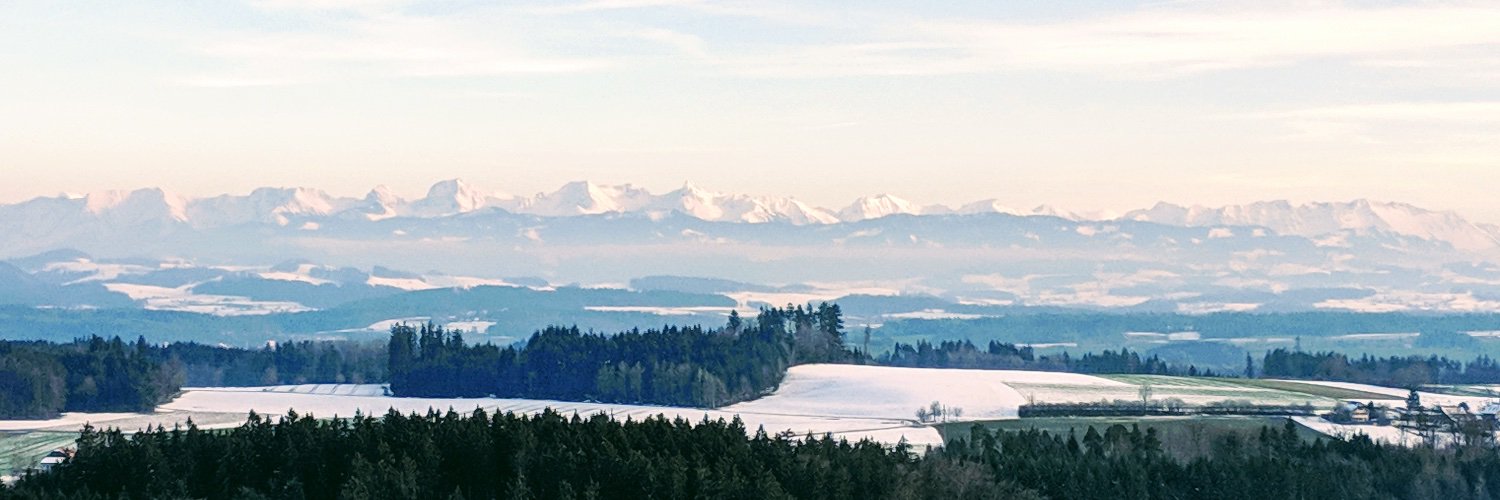 steinitorres's profile banner image