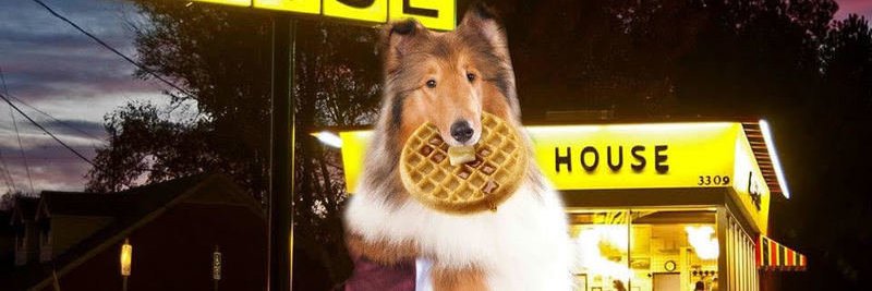WaffleHouseAG's banner