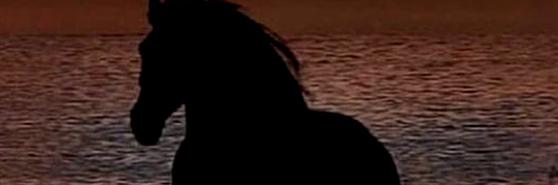 freewldboss's profile banner image