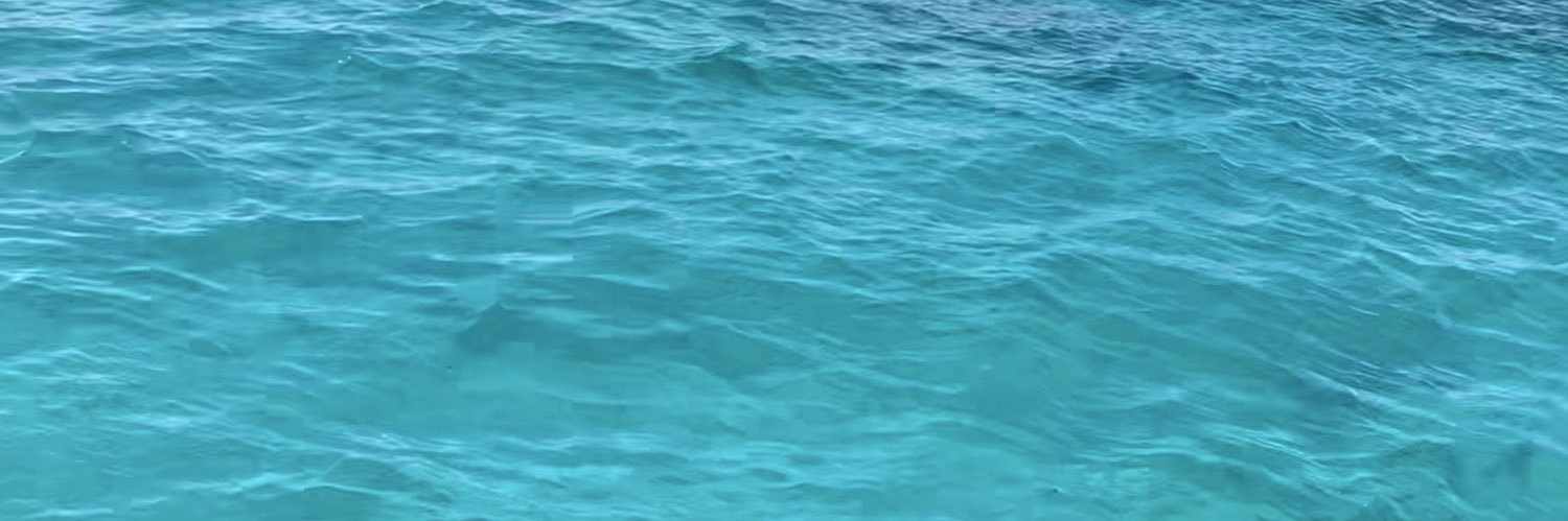 KaylsW29's profile banner image