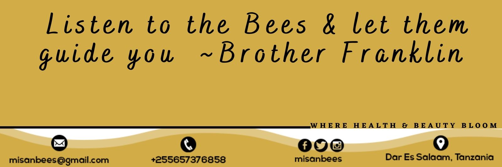 MisanBees's profile banner image