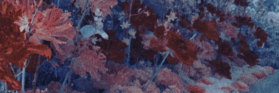 luck_382727's profile banner image