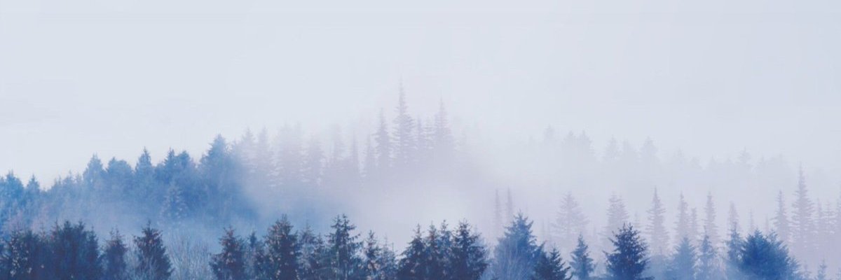 Tera Hurt banner