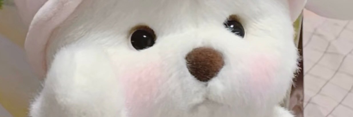18379263wer's profile banner image