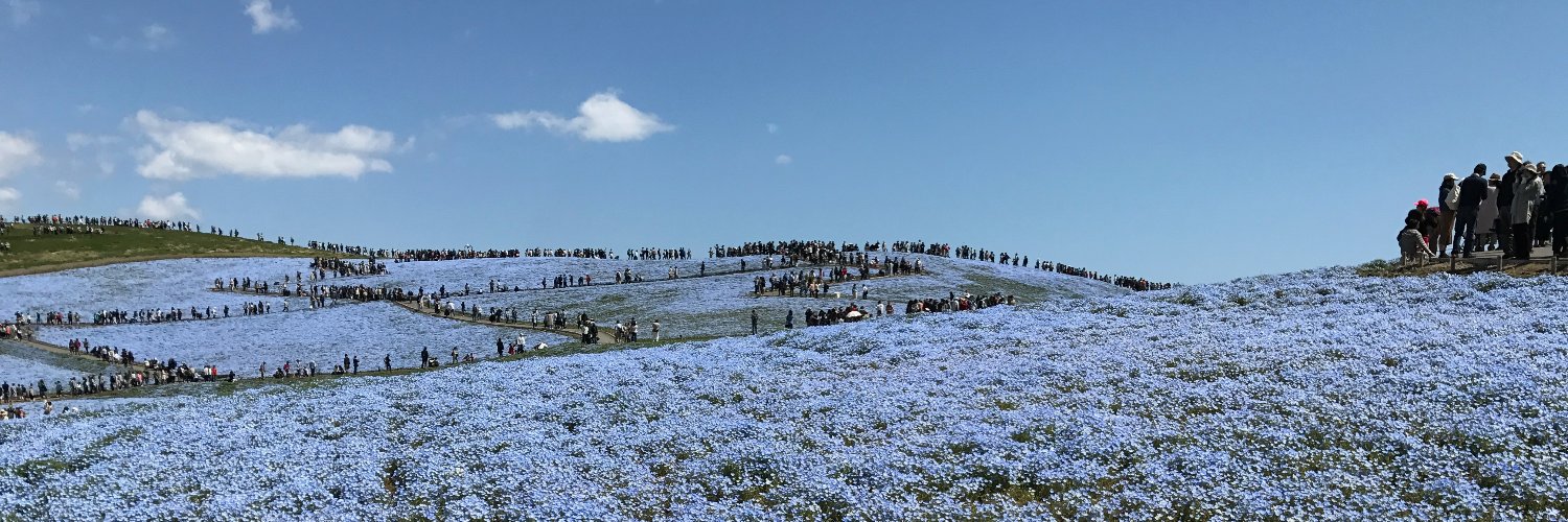 Sabotenbro banner