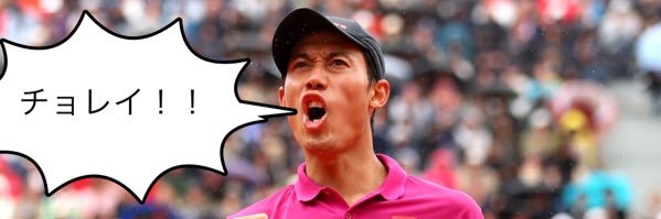 netdash🤔鼻血ブログ banner