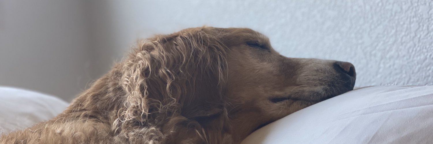 camartinez's profile banner image