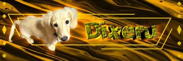 Dexiru_FN Profile Banner