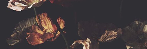 Meds4B Profile Banner
