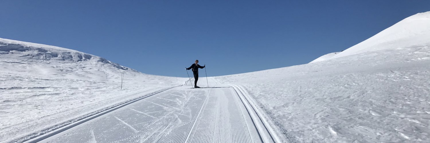 HegeStokke's profile banner image