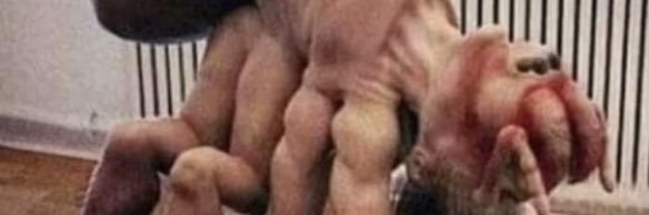 Bornkus728's profile banner image