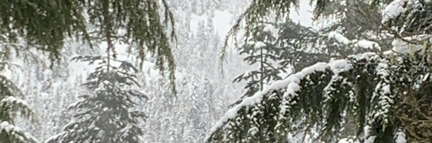 Forrestt banner