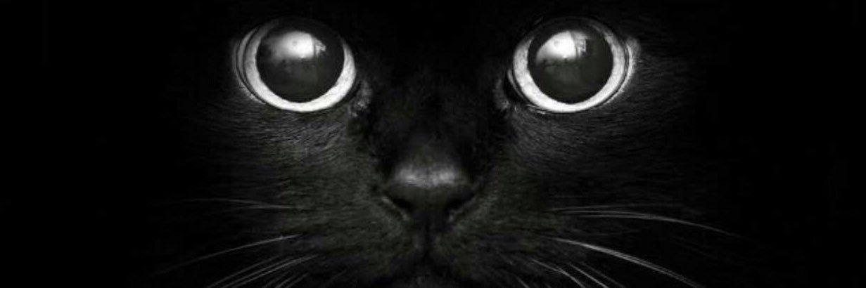 alejandro_bta's profile banner image