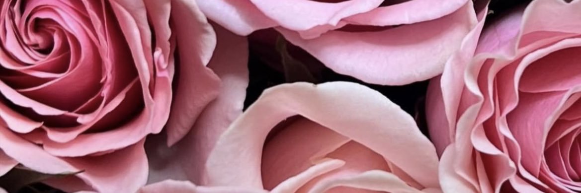_prettyri's profile banner image
