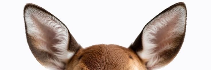 astounfing's profile banner image