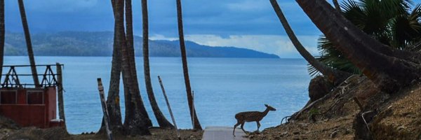 NRaghupal Profile Banner