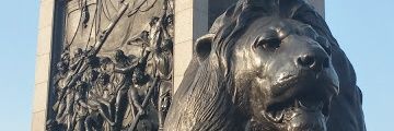 CollieCl's profile banner image
