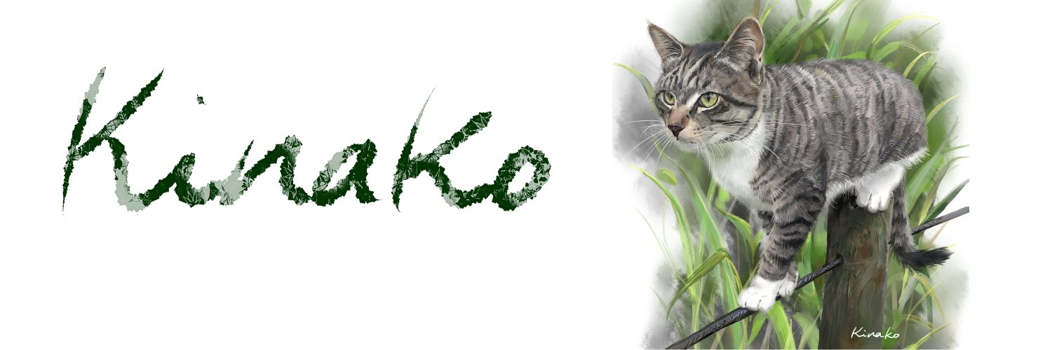 きなこ(猫の絵を描いています）'s banner